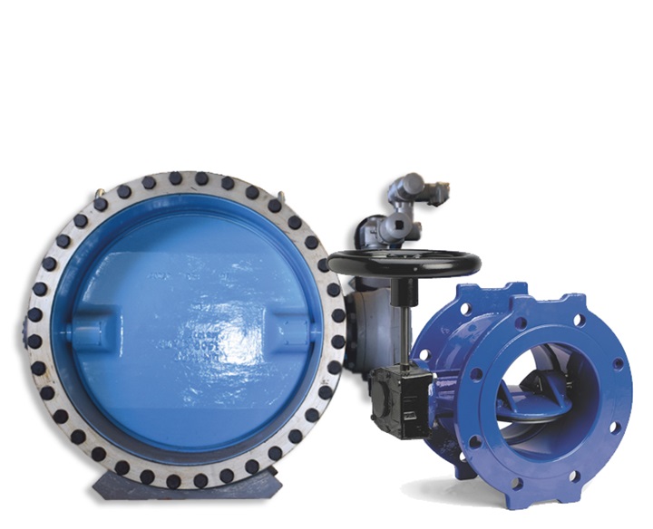 Butterfly valves for water